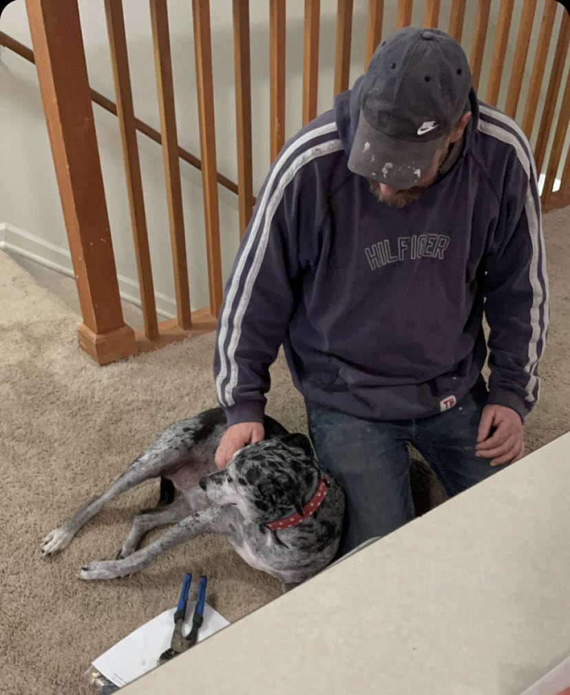 Copper Beech Radford tweet media