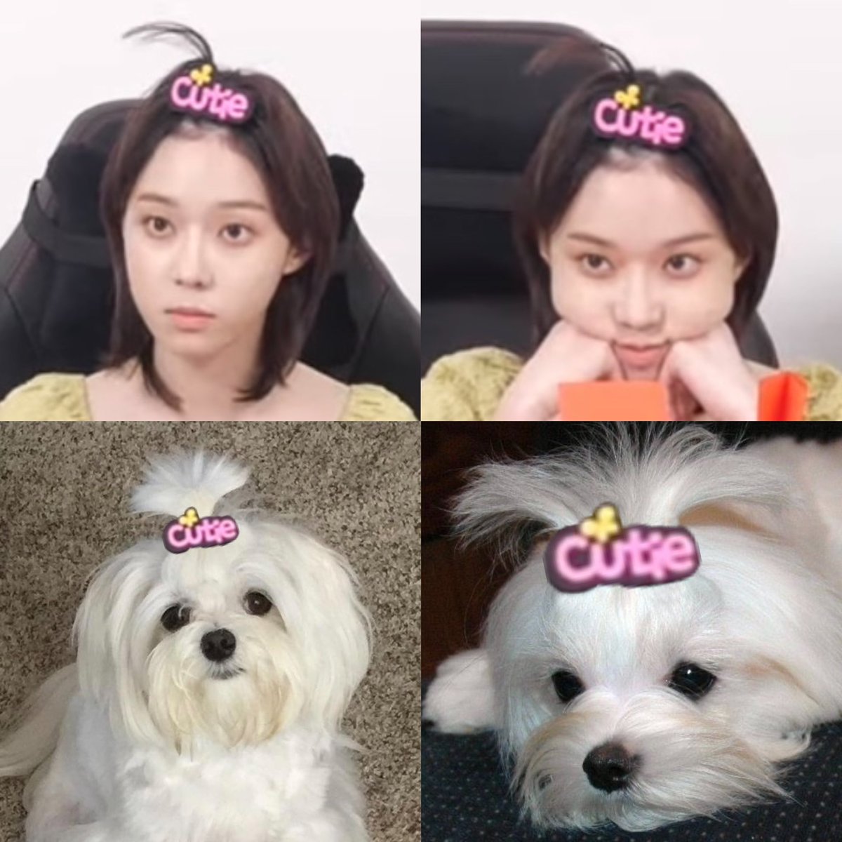 ติดกิ้บให้หนูทำไม