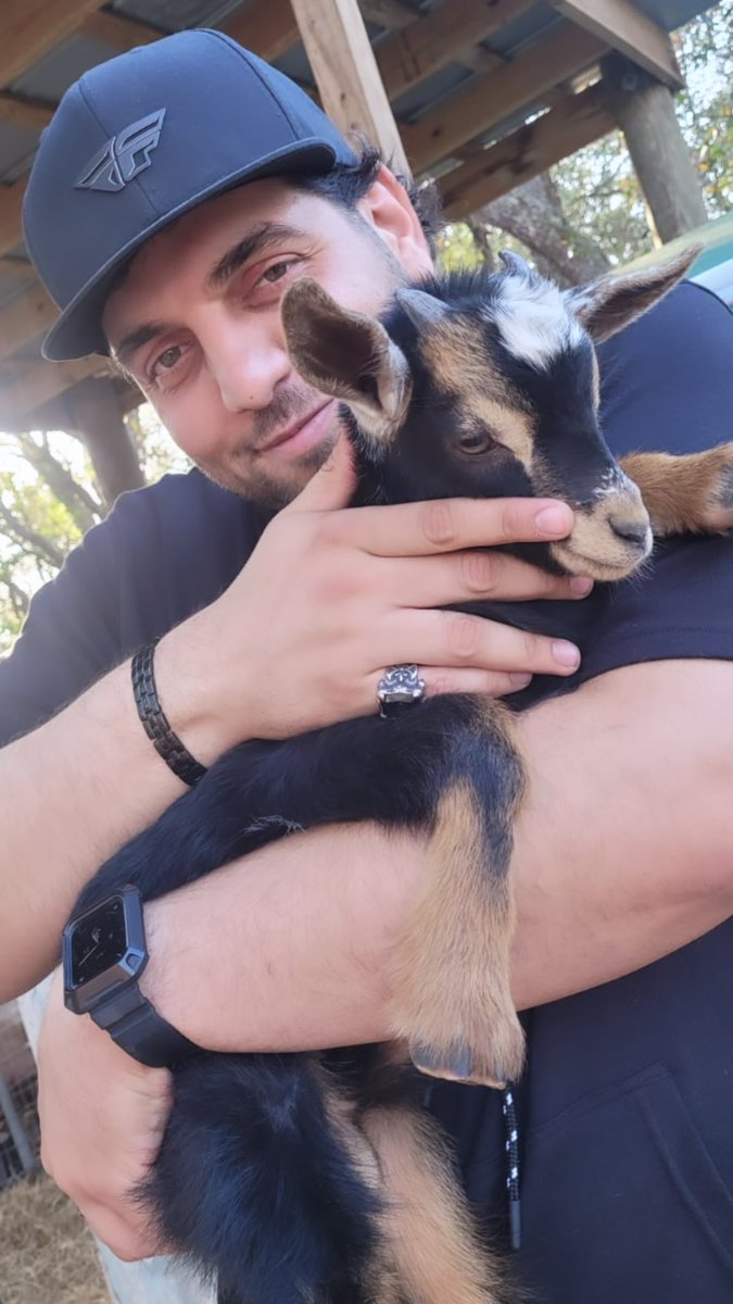 IvanPizzoni's tweet photo. Omg I just bought the cutest baby goat ever‼️

I am going to name him “GOTTI” 🐐 https://t.co/ljCZDTaNzi