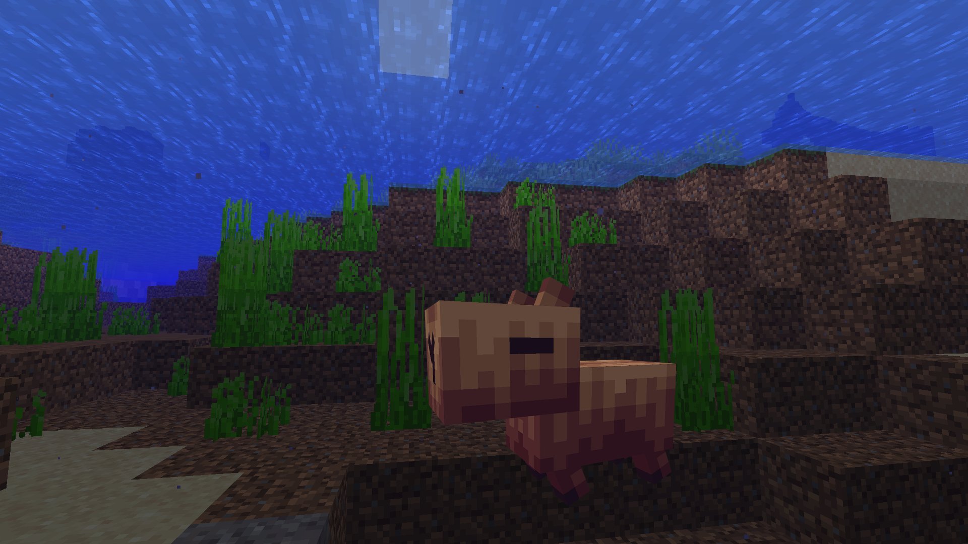 capivara br  Minecraft Skin