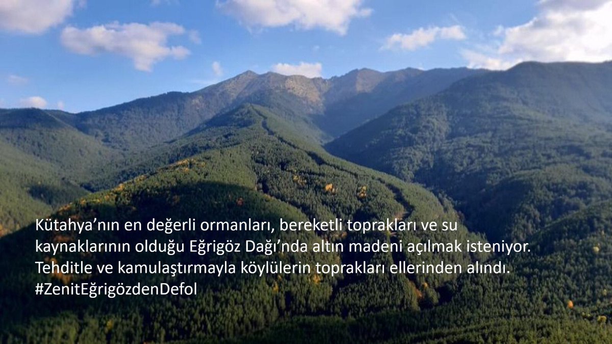 Doğanın Çocukları tweet media