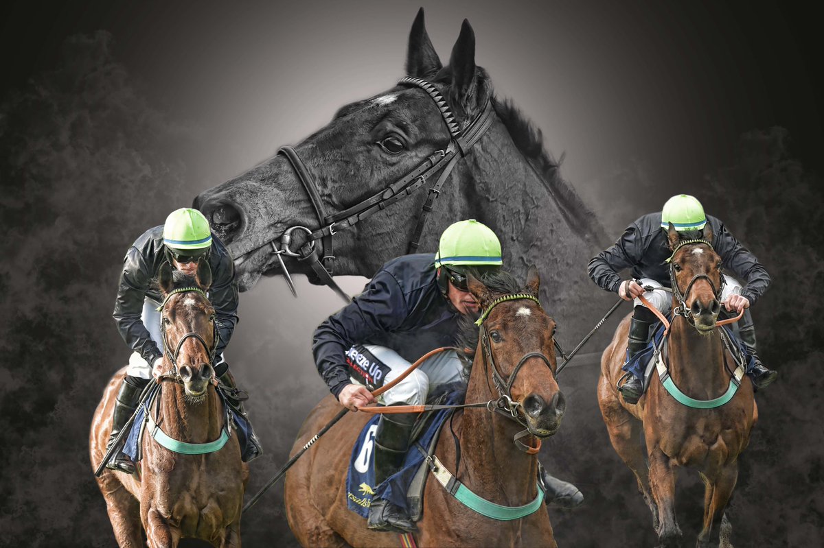 colinboweracing's tweet photo. #Willmount ❤️❤️❤️ sells @tattscheltenham #FebSale #nottobemissed #future⭐️ A stunner !! Thanks to 📷Action Man Photography for the awesome artwork . https://t.co/MawFrQxGtA