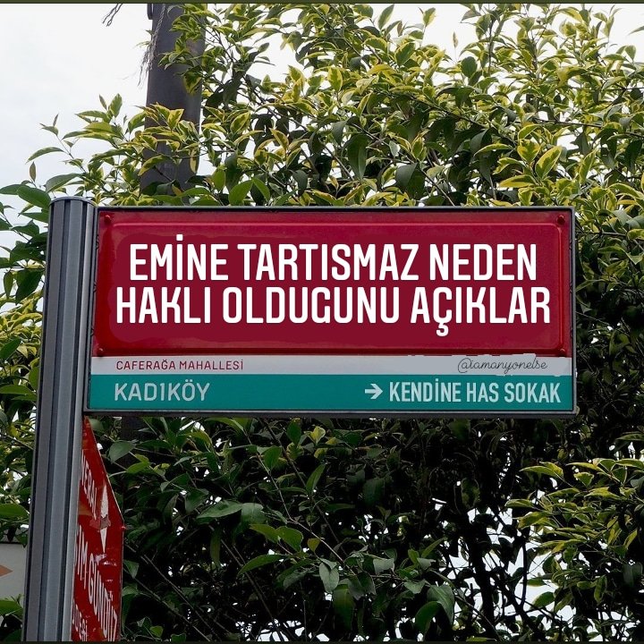 Emine tartışmaz neden haklı olduğunu açıklar