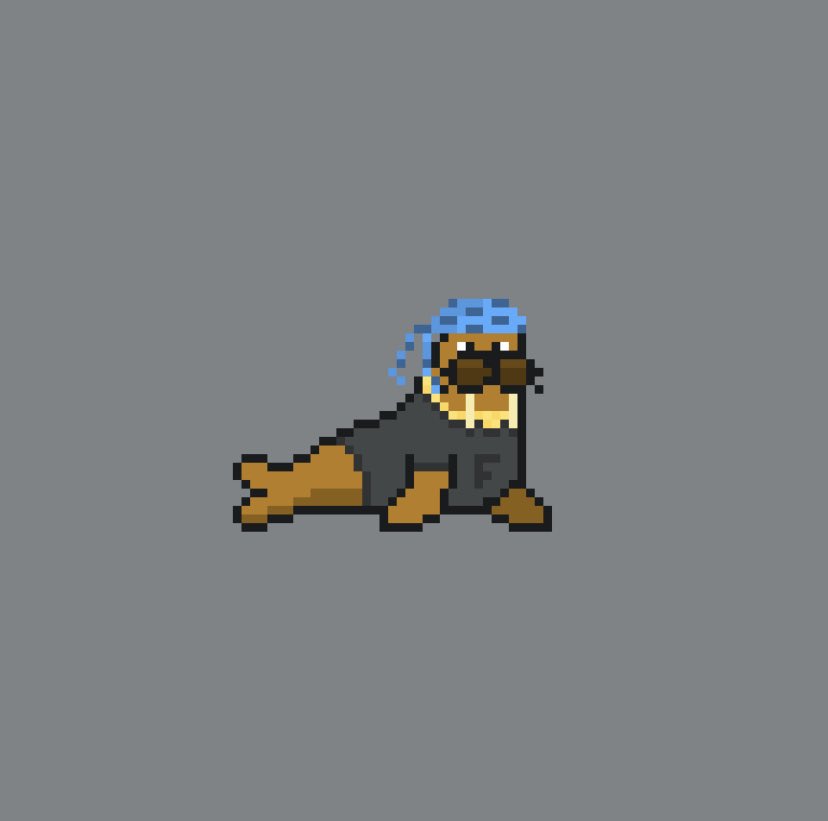 WalrusBrothers's tweet photo. What’s up #NFTcommunity? 
   
❗️ Here’s what we’ve been working on❗️
 
💥Introducing TheWalrusBrothers: a collection of #NFTs of pixelated walruses!

💥They are in a very limited supply and each NFT is unique in its very own way.

💥See what we’ve been working

👇🏻👇🏻👇🏻 https://t.co/v0v5PbfqFp