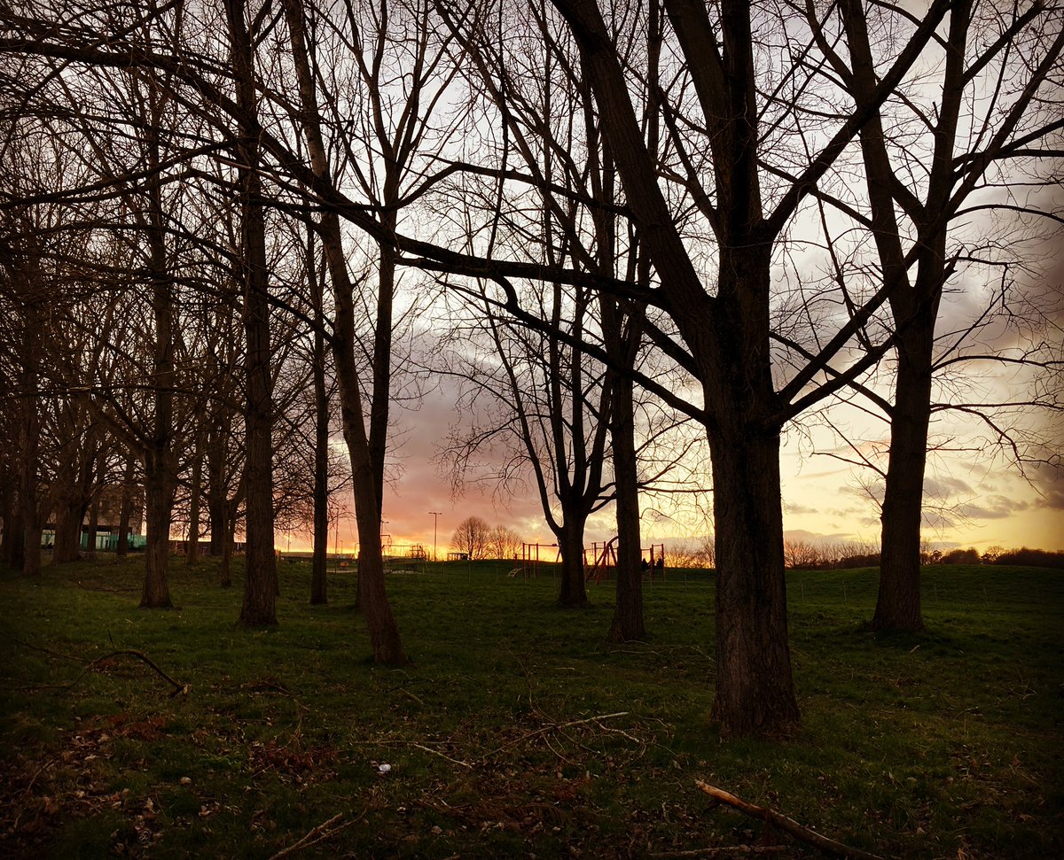 clairenfish's tweet photo. Sun setting over the fields of New Addington #sunset #newaddington #fieldway #anotherday https://t.co/K7oHKdaWeF