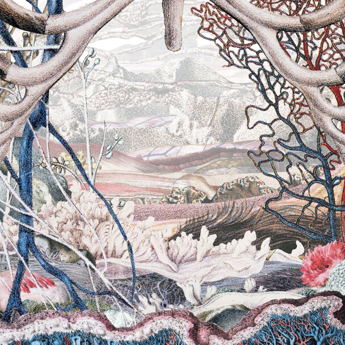 🔱

"Kansas"

versum.xyz/token/versum/1…

3661x3661px - 300dpi
x/11 - 1tz

#centedrop #kansas