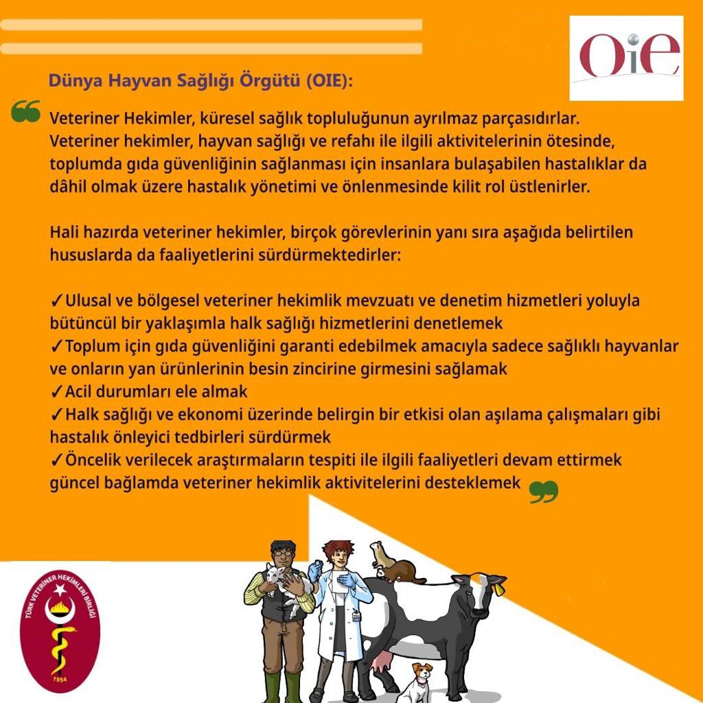hashusay_'s tweet photo. #VeterinerHekimleriUnutma https://t.co/0faRH8nKs3