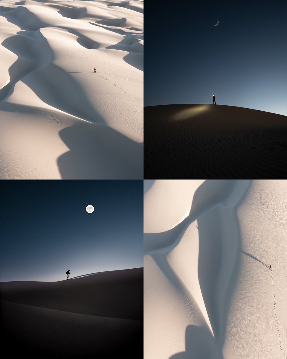 Dune walker 👣