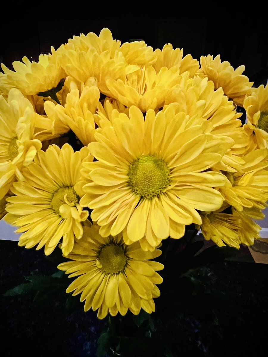 RealNettav's tweet photo. My youngest son brought me flowers. Yep he’s a Mama’s boy and there’s absolutely everything perfect about that. He’s a respecter of women. #raisegoodmen https://t.co/7MOGDCxeQ6