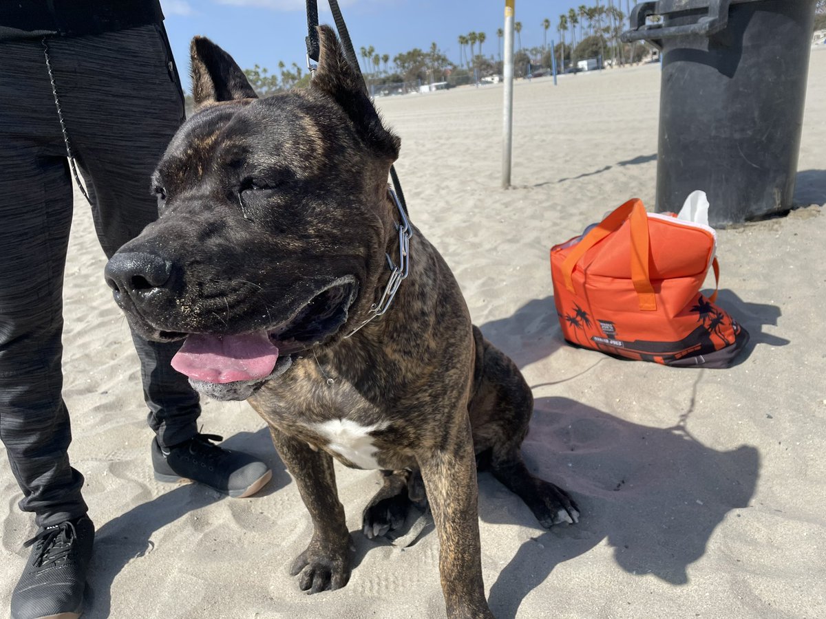 BLUELINE_CLOTHING (@bluelineclothin) / X