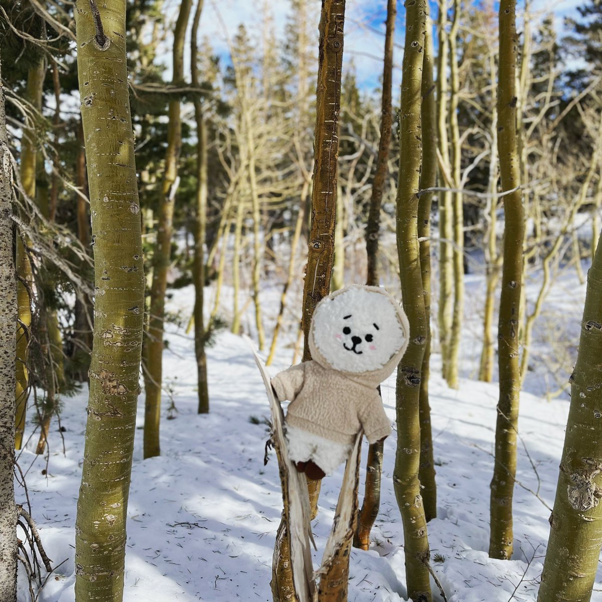 WintrMoonTaeJin's tweet photo. Like an echo in the forest
.
.
#bt21rj #rjsadventures https://t.co/lt7r7gU1Vu