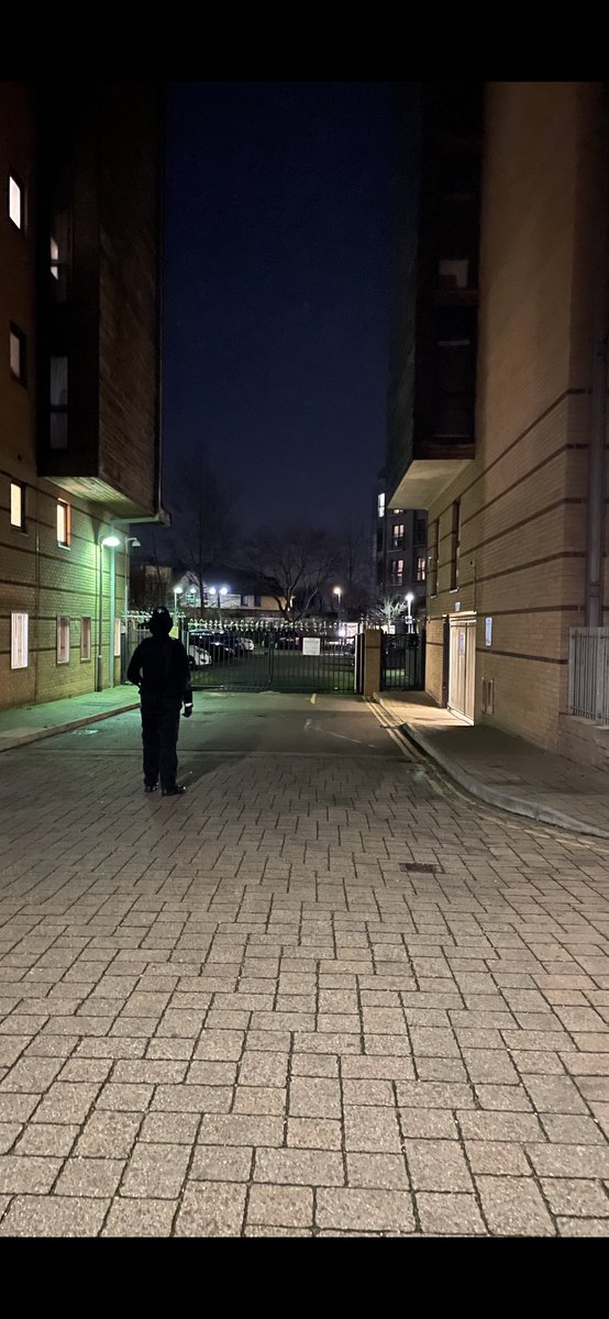 We are out on the ward tonight target hardening areas reported to us as ASB hotspots, namely Harry Zeital Way and the surroundings. #leabridge #opbisaro #hackney #yousaidwedid
