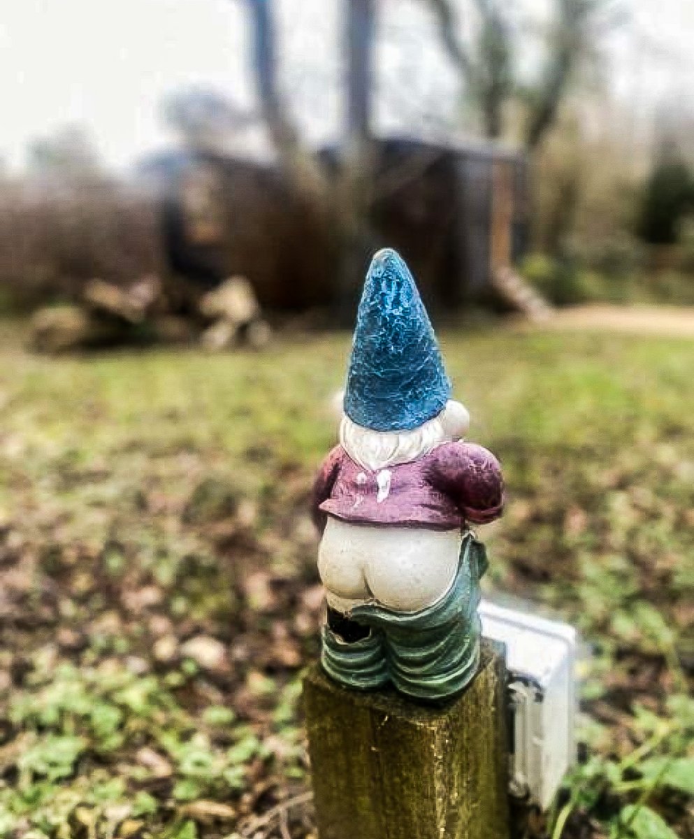 Bottoms up 🥂🍸🍷 . After what seems like weeks of windy weather and stormy settings, half-term rays are on the horizon ☀️ Just in time for #NationalMargaritaDay, don’t mind if we do 🍹 . #gohard #orgognome #bottomsup #tuesdaytipple 📸 @jennajohnson_1