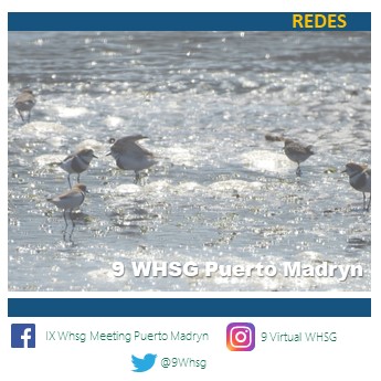 9Whsg's tweet photo. Estamos en las redes!

#WHSG #WHSG2022 #avesplayeras #shorebirds #PuertoMadryn 
#avifauna #avesargentinas #pajareros #hornitologos #hornitologia #
#plovers #wildbird #bird_lovers #birdphotos #shorebirdmigration https://t.co/3oyyLoOp6t
