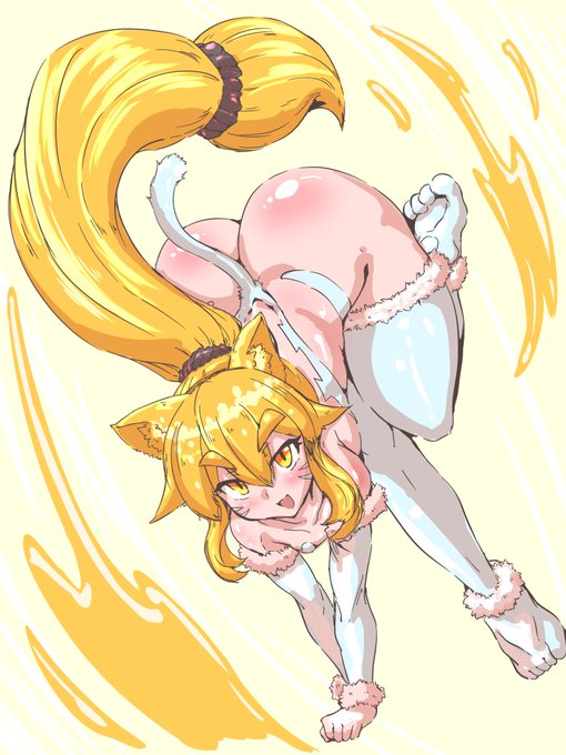 #はちみやの絵
ねこはいますか? 