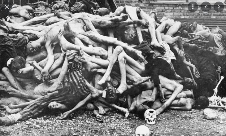 Ed the Sock tweet media