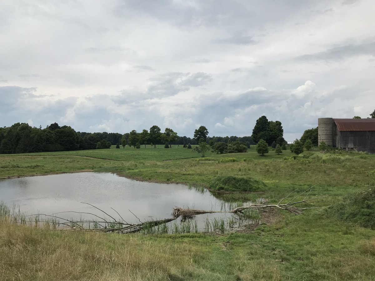 It's #CdnAgDay! Thank you to our Elgin County farmers. 👨‍🌾🇨🇦👩‍🌾

#ontag #elgincounty
