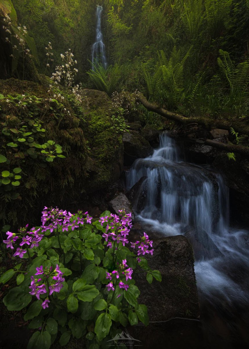 HugoVP55's tweet image. Hello everyone, my name is Hugo Valle and now you can also find me here!!!