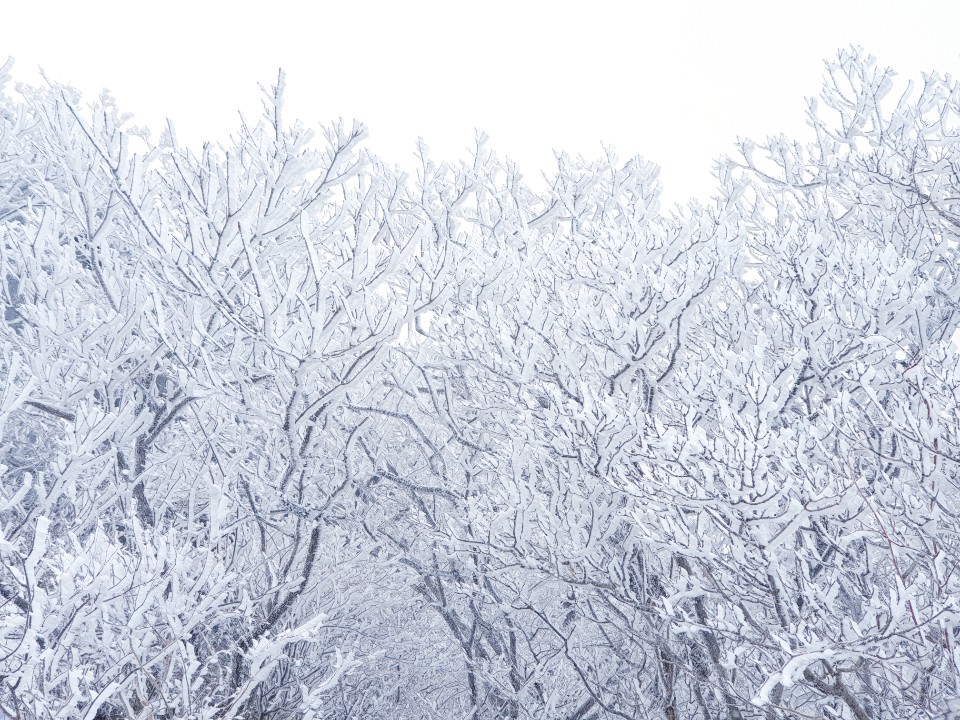 omegalove012012's tweet image. #설경
#코로나 없는 청정지역
#covidfree