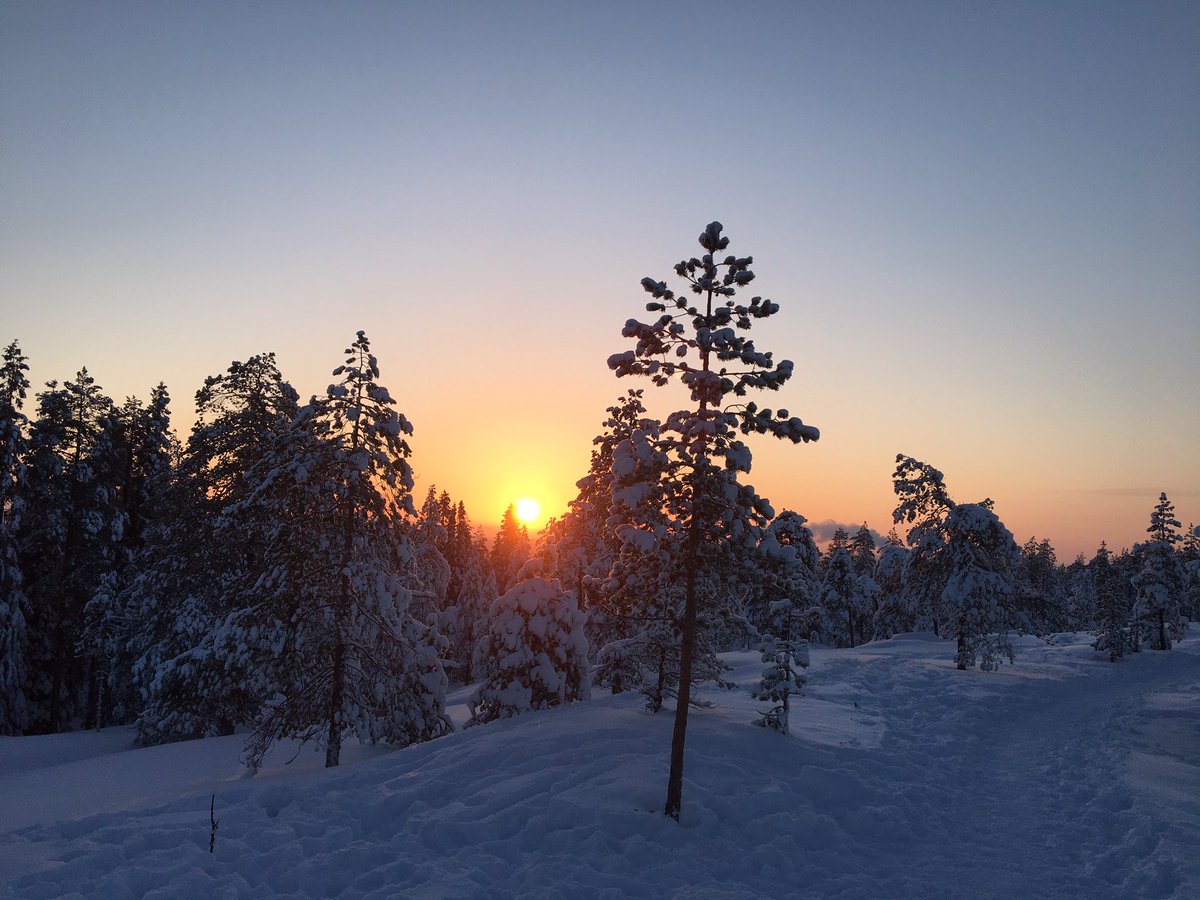 Winter sun.. -20C fresh air, recharging  #ulkosuomalainen #lappi