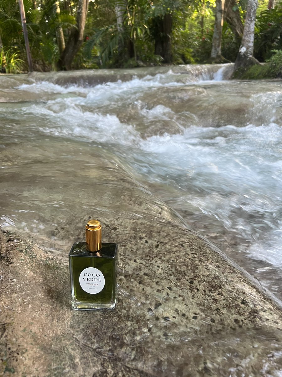 CocoVerdeBeauty's tweet photo. We’re LIVE 🌴 pre-order now!!! Link in bio 😉

Sweet Jade Hair Oil 💚 A silky lightweight blend of cultural botanicals. 

-Seals moisture
-Repairs damaged strands
-Protects hair from UV damage

Available for pre order on 2.22.22 🌴

Follow @cocoverdebeauty for more https://t.co/dMSaPpCYLR
