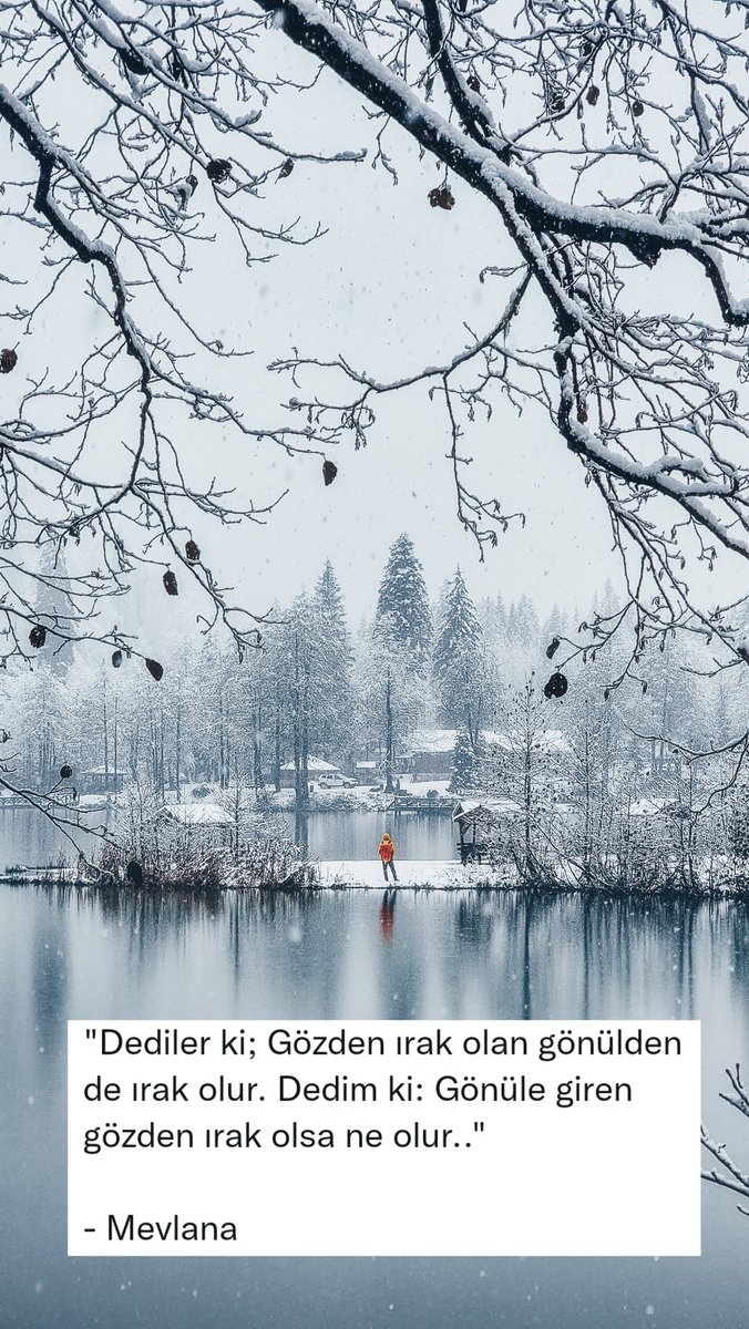 Yitik (@exportbroker1) on Twitter photo 