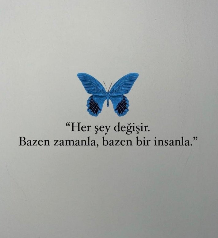 Yılmaz Erol (@ylmaz16569342) on Twitter photo 