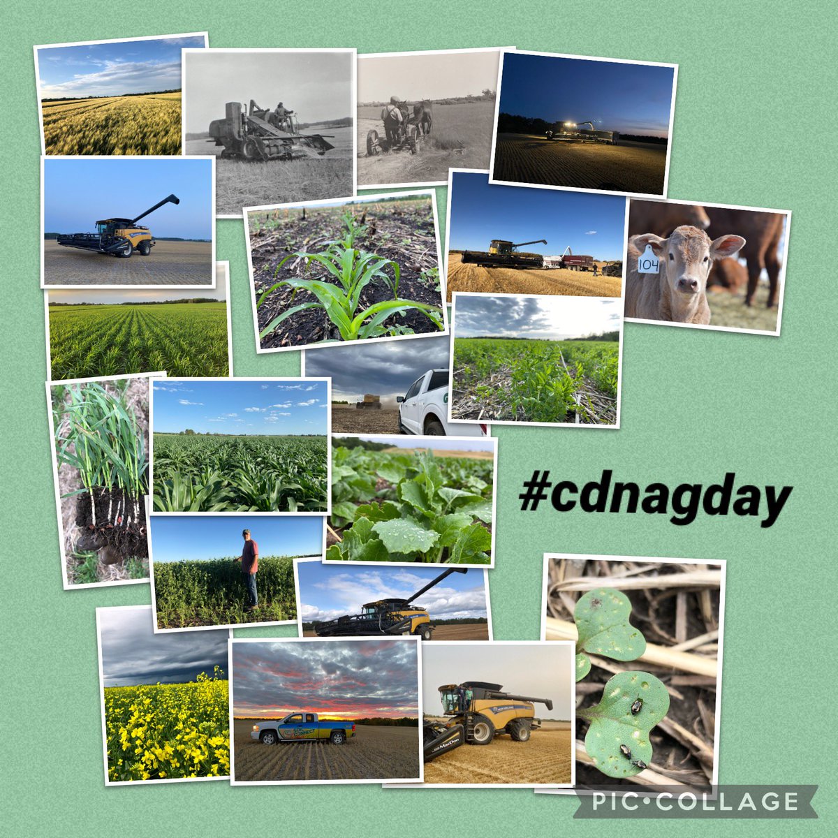 Grateful to be a part of such a great industry! Looking forward to another great year. #CdnAgDay