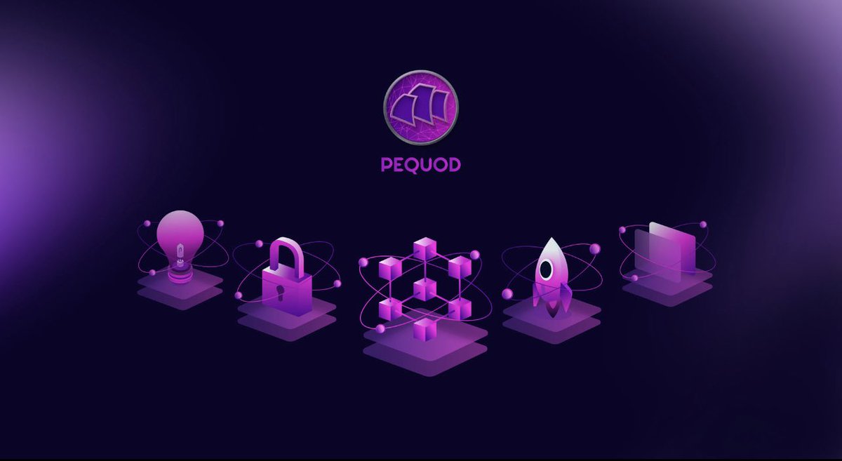 WolfofTuscany tweet media