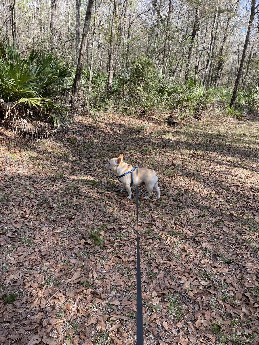 Manny (@mannywedges) on Twitter photo 