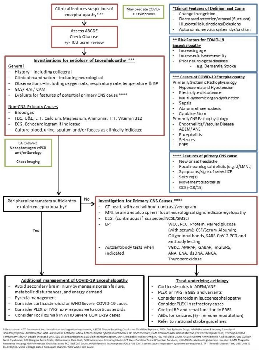 BenedictNeuro's tweet photo. HOT OFF THE PRESS- Consensus Guidance on Management of #COVID Brain Dysfunction #encephalitis #encephalopathy.  Huge thanks to https://t.co/yA34bEKyEe for getting out- #WorldEncephalitisDay 

INSPIRING COLLABORATION
Across Neuroscience &amp; Globe

FULL TEXT:
https://t.co/tok4emm1Jr https://t.co/wTYAf8wtTC