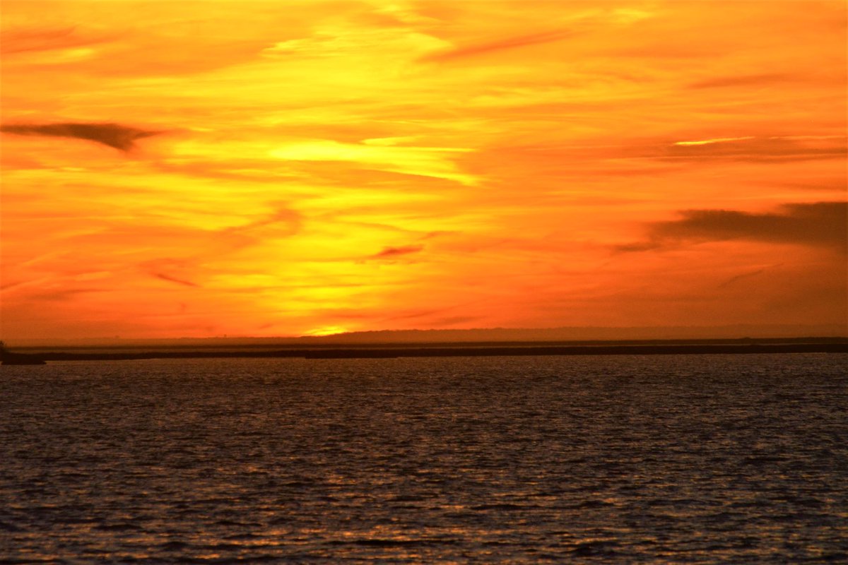 LBI_Homes's tweet photo. Prime August and off-season weeks open in 3 BDR 2.5 bath contemporary on the ocean block and a block to the famous LBI sunset pier.
https://t.co/QSNV7nMGNy
Msg me for details. https://t.co/Dp5SsIlazg