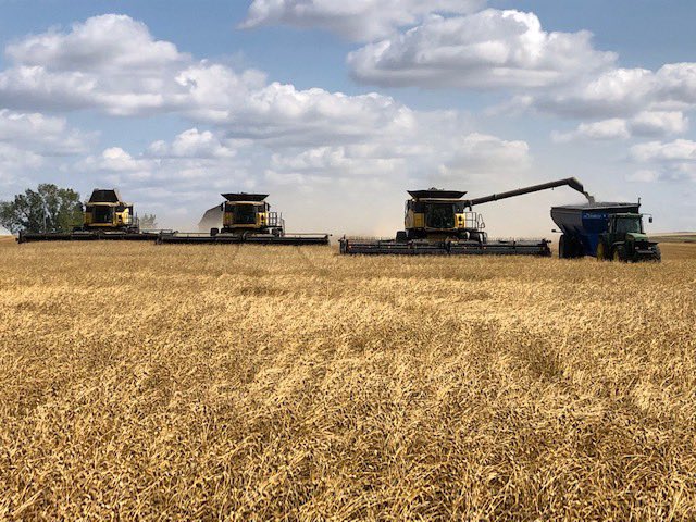 RossVerhelst1's tweet photo. #CdnAgDay https://t.co/mDjTRvWvMb