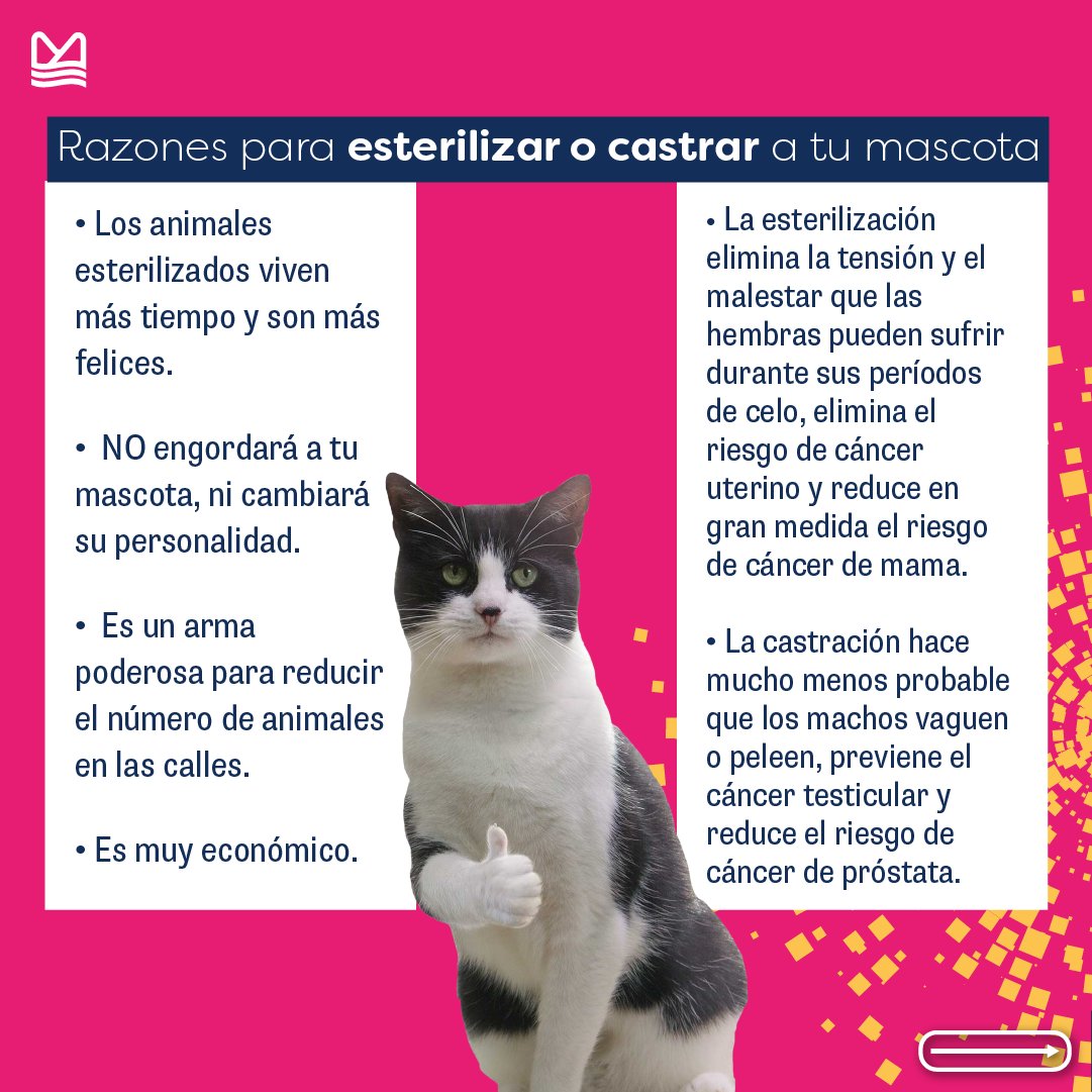 Mar de Fondo - Noticias tweet media