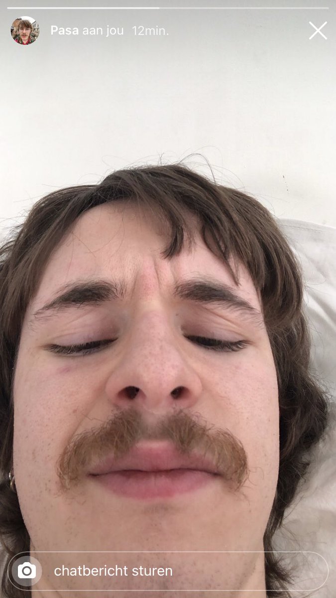 sipposaurus's tweet photo. https://t.co/yvMbqNvzkb