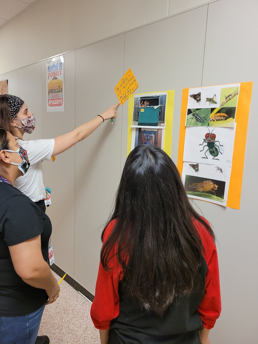 mrsfreeman79's tweet photo. Kudos to @OgdenES_AISD teachers, practicing Ellevation strategy: Hanging Hashtags, in today's CBPLs! They are ready to incorporate this strategy in their classrooms! #togetherweshine  @MsStubs @AshleyJ146_  @readersRwriters https://t.co/qtof6rWsLT