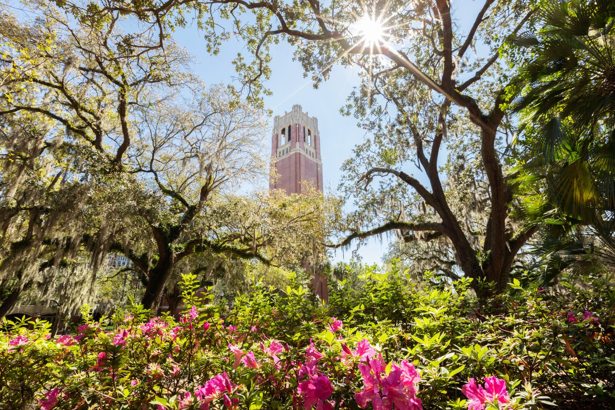 UF's tweet photo. In all kinds of weather...

but especially this kind. https://t.co/m6CZo0dYoN