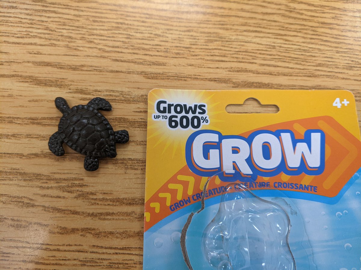 Ferraris_Gr5's tweet photo. My PreAlgebra class had to see how true the claim was. We measured two distances and found the expected 600% of the original. Stay tuned for the results @arajagop https://t.co/41ml5yDckQ
