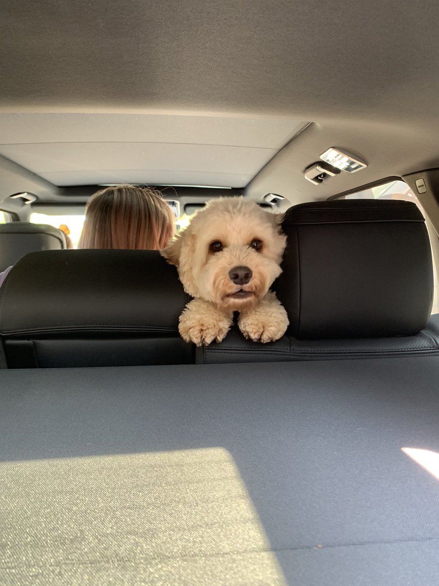 Wayne Baister tweet media