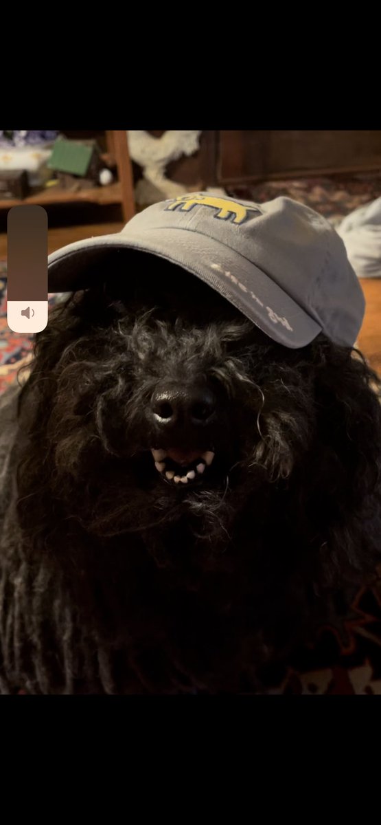 Yorkie7's tweet photo. @bunsenbernerbmd HEY BEAKER WANNA BE ON A SOFTBALL TEAM??โพ๏ธ๐ฅ๐งข
#HatFriendDay https://t.co/6MW0vIwprf