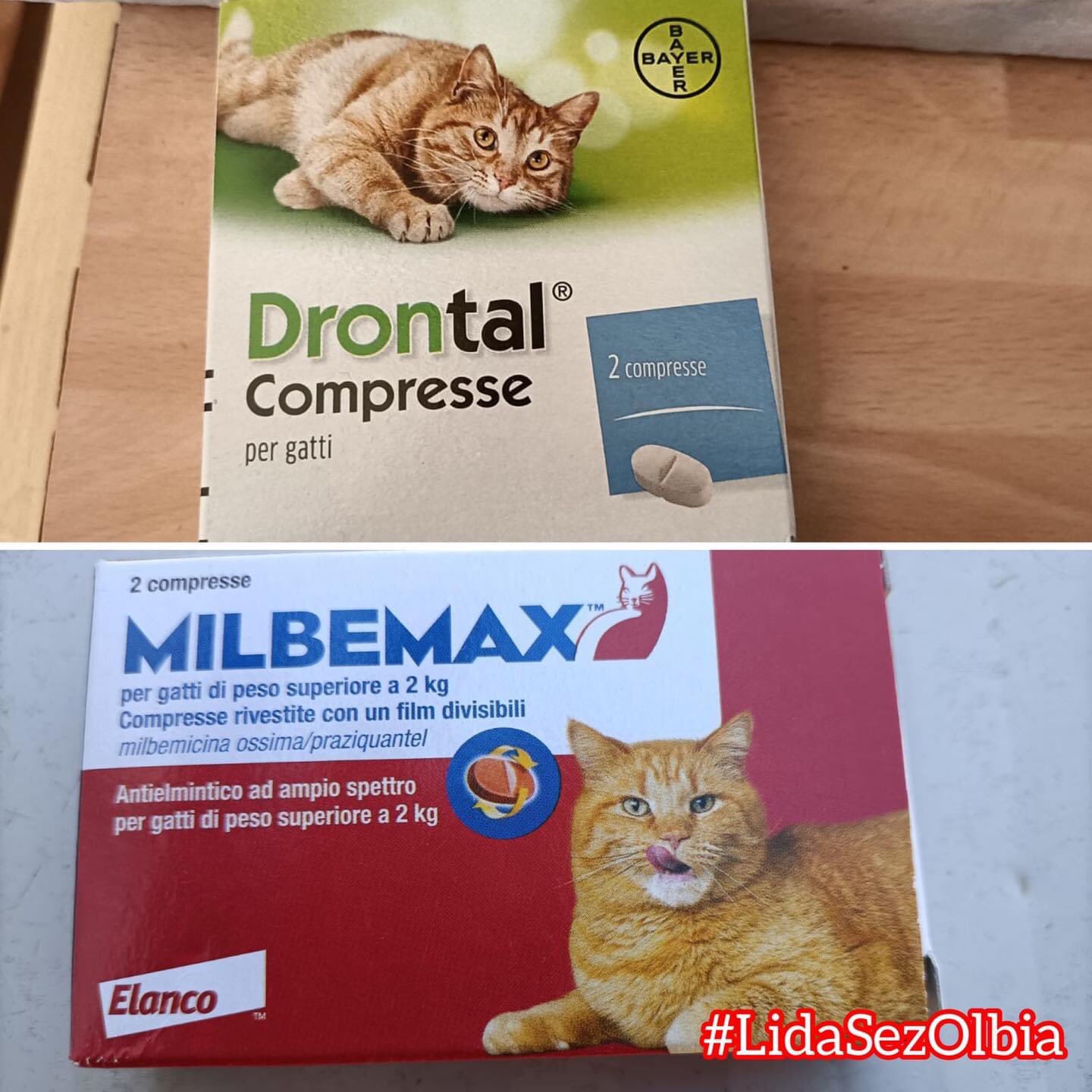 Drontal o cheap milbemax