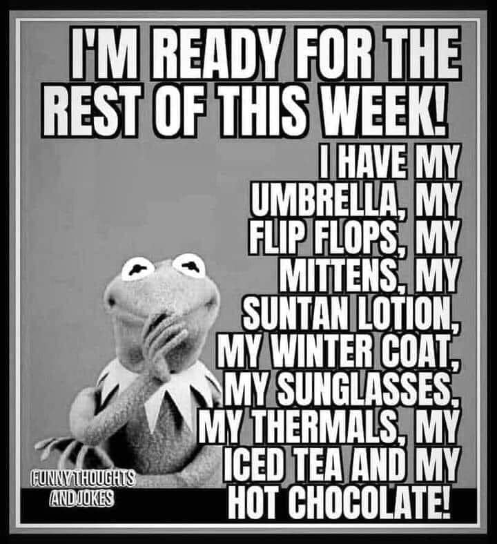 No matter what the weather brings, the Library is open for you!