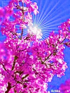 花言葉 の評価や評判 感想など みんなの反応を1週間ごとにまとめて紹介 ついラン 花言葉 の評価や評判 感想など みんなの反応を1週間ごとにまとめて紹介 ついラン