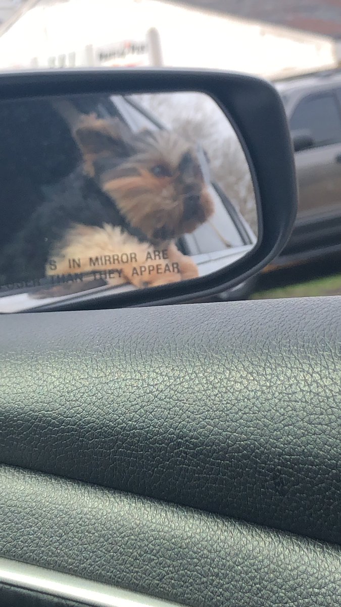 Happy TWOSday fwiends!!