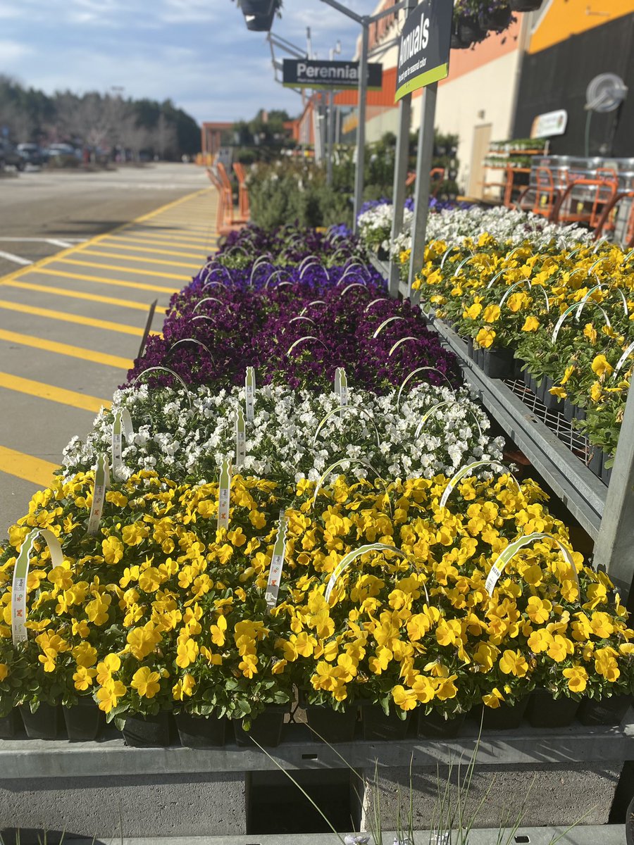 Kelvin M tweet media