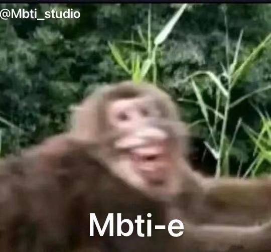 MbtiStudio's tweet photo. When the E and I in the same trip🤣 https://t.co/bh3ml9KFoE