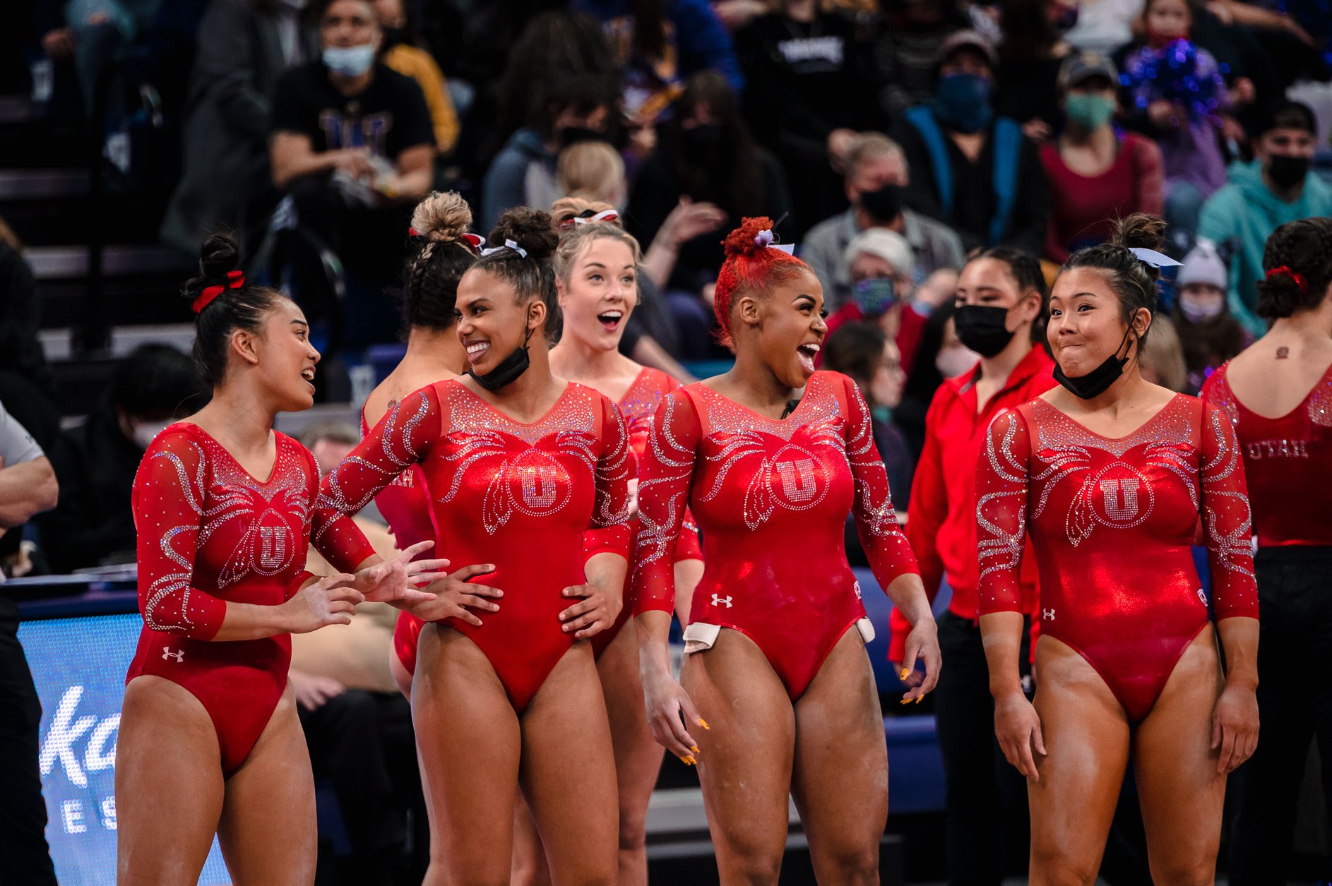 Utah Gymnastics on Twitter "Caption this https//t.co/DLqhUJ1PBT