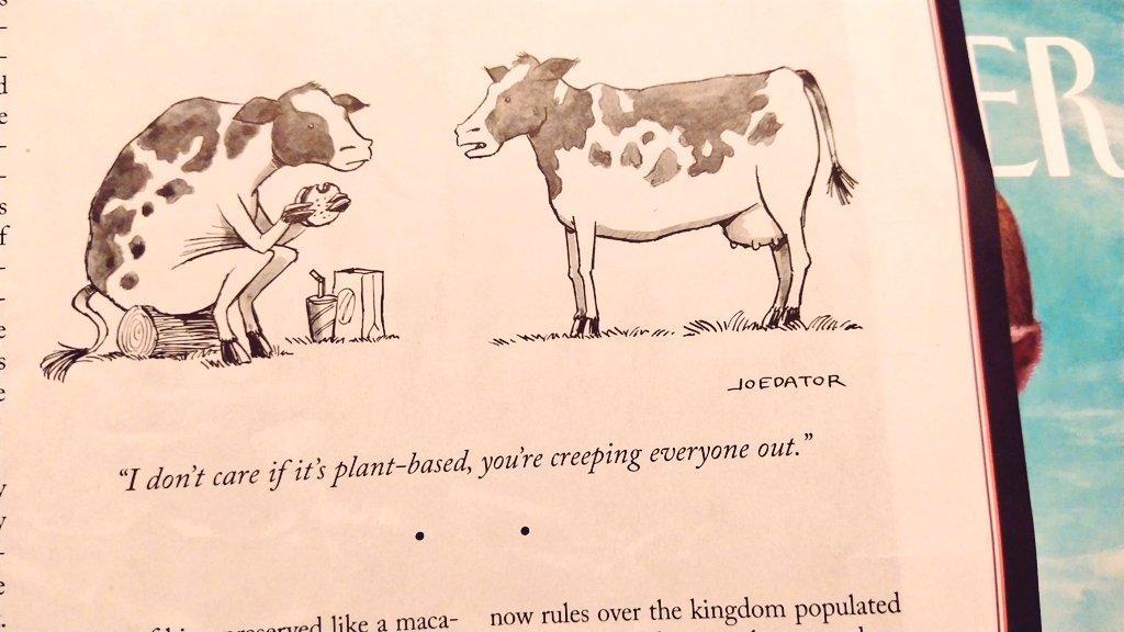 ichirni's tweet photo. @newyorkerhumor #newyorkercartoons https://t.co/96EJ6Ui1a8