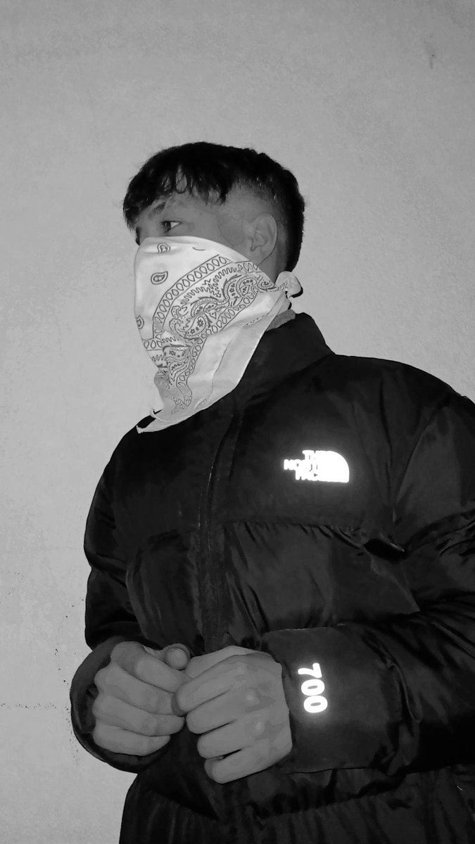 Ali Bayar tweet media