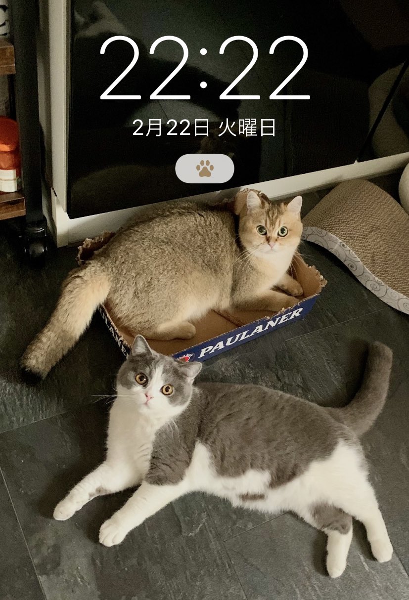 22年2月22日 Twitter Search Twitter